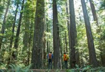 Las 10 Bellezas naturales de Estados Unidos » 2023