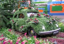 Los 10 mejores jardines botánicos del mundo » 2023