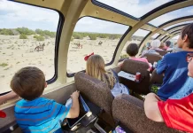 Excelentes aventuras en tren por América » 2023