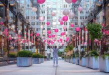 5 ciudades estadounidenses con vibrantes centro culturales » 2023