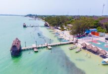 La isla con un santuario lleno de delfines que no te arrepentirás de visitar » 2023