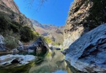El Cañón del Paraíso » 2023