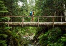 Los 10 mejores lugares para visitar en EE.UU. en el 2023-2024 » 2023