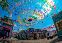 Visita uno de los barrios más hermosos y coloridos de México » 2023