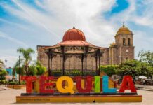 Jalisco tiene las 5 experiencias tequileras perfectas para disfrutar en tu próximo viaje » 2023