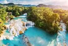 ¿Dónde se encuentra el pulmón natural más grande del mundo? » 2023