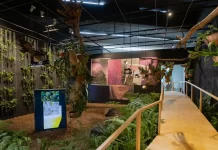 El espacio mexicano ideal para los amantes de las plantas » 2023