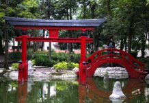 ¿Visitar Japón en la CDMX? El espectacular jardín japonés más grande de México » 2023