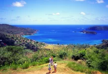 3 aventuras para experimentar al máximo el ecoturismo en Tobago » 2023
