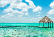 5 espectaculares reservas ecológicas en 5 pueblos mágicos » 2023