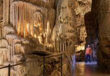 La Cueva de Postojna, la reina del mundo subterráneo » 2023