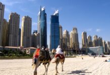 Las 12 mejores experiencias que podrás tener en tu viaje a Dubai » 2023