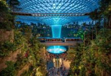 El mejor aeropuerto del mundo tiene lo que nunca esperarías encontrar »