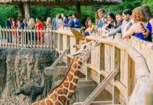 Estos son 10 de los mejores zoológicos de EE.UU. »