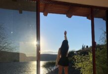 Conoce las cabañas más exclusivas en medio del bosque »