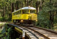 Descubre el bar secreto en el bosque de secuoyas al que solo puedes llegar en un tren antiguo »
