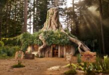 ¡Ya puedes reservar la casa de Shrek en Airbnb! »