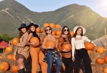 ¡Celebra la llegada del otoño en el festival Pumpkin Dash! »