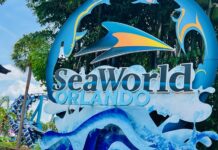 SeaWorld Orlando anuncia la montaña rusa familiar Penguin Trek para el 2024 »