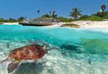 Así puedes disfrutar de un viaje de lujo a Yucatán, México »