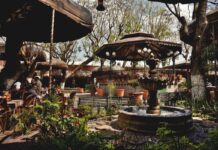 Descubre la cantina más grande del mundo en México, aquí todos los detalles »