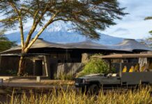 El nuevo safari Angama Amboseli con 10 suites inspiradas en los elefantes »