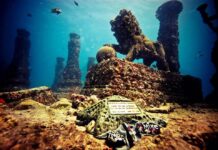 CONOCE EL ÚNICO CEMENTERIO SUBMARINO DEL MUNDO »