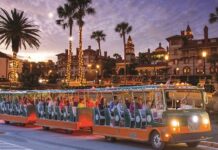 7 formas de celebrar la Navidad en Florida, desde fiestas hasta desfiles en barco »