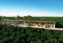Edition Hotels abre su primer complejo turístico en México con el ático de hotel más grande de Norteamérica »