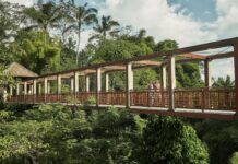 Top 5 Retiros para Empezar el Año con Energía Renovada »