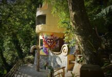 Descubre este proyecto de hospedaje surreal en Xilitla »