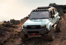 5 autos de aventura para explorar los bosques interminables de Canadá